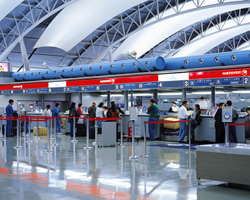 ����葱��